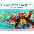 flying over brooklyn